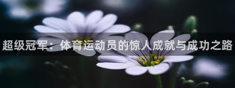 必发官网下载招商电话号码查询是多少