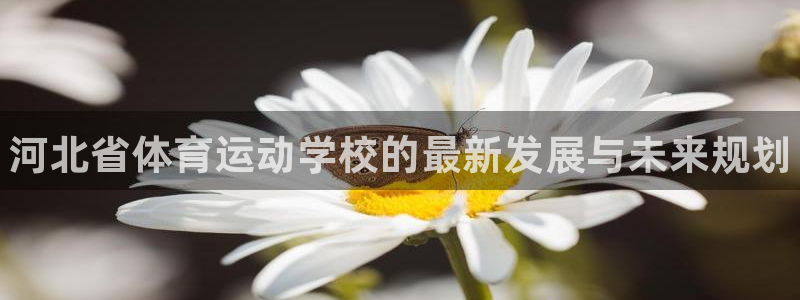必发官网下载招商电话是多少号码：河北省体育运动学校的最新发展