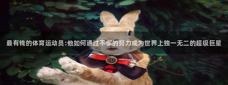 必发官方正版app新能源