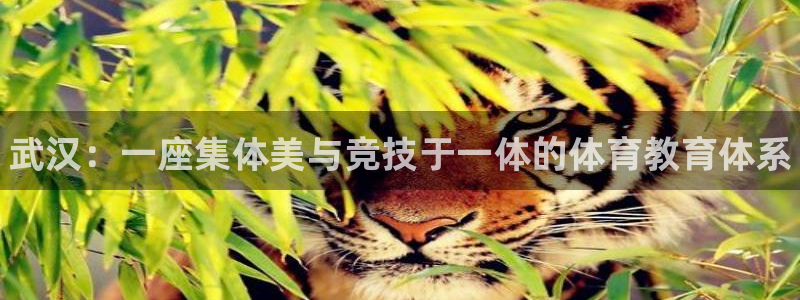 必发官方正版app娱乐代理怎么样：武汉：一座集体美与