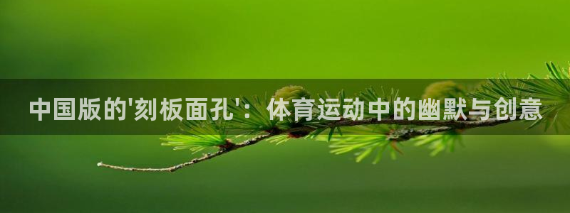 必发官网下载平台注册流程视频：中国版的\'刻板面孔\'：体育