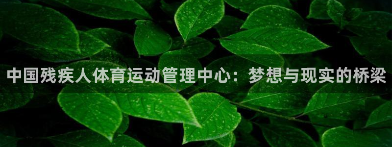 必发官方正版app科技：中国残疾人体育运动管理中心：梦想与现
