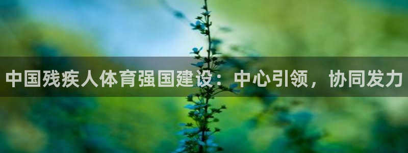 必发官方正版app娱乐平台：中国残疾人体育强国建设：中心引领