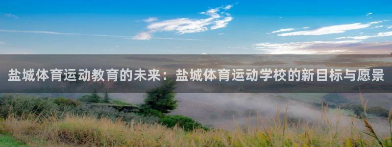必发官方正版app代理：盐城体育运动教育的未来：盐城