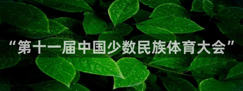 必发官网下载平台：“第十一届中国少数民族体育大会”