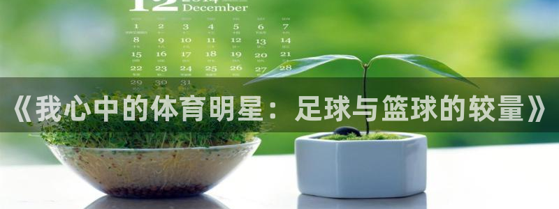 注册必发官方正版app：《我心中的体育明星：足球与篮