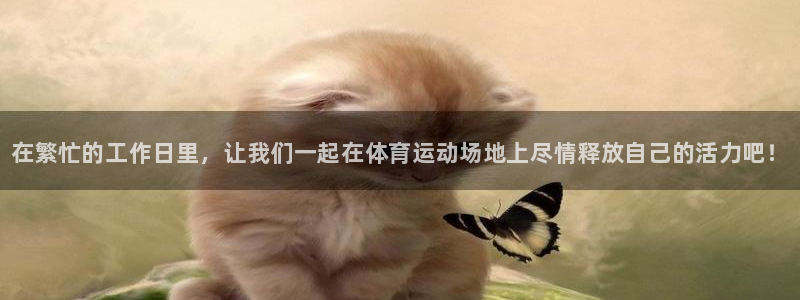 必发官网下载开户：在繁忙的工作日里，让我们一起在体育运动场地