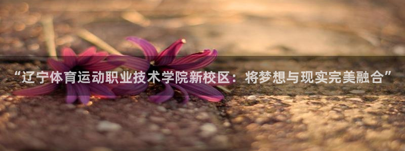 必发官网下载招商