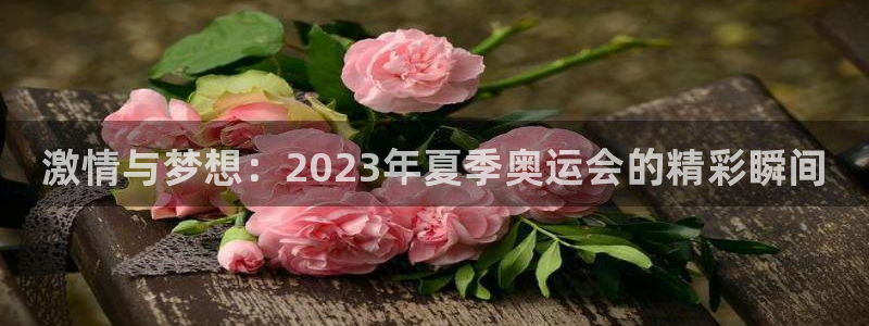 必发官方正版app集团：激情与梦想：2023年夏季奥