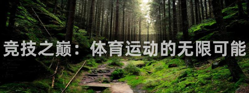 必发官网下载平台是正规平台吗安全吗：竞技之巅：体育运