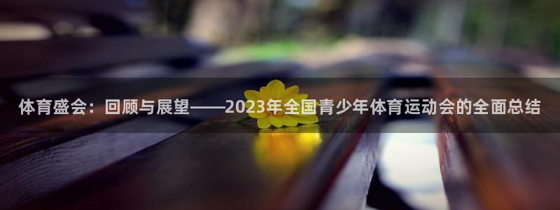 必发官网下载官方客服电话：体育盛会：回顾与展望——2