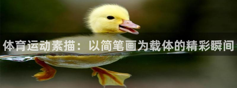 必发官网下载娱乐：体育运动素描：以简笔画为载体的精彩