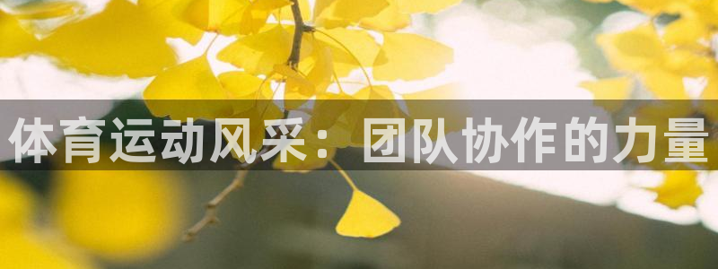 海南必发官网下载发展怎么样：体育运动风采：团队协作的