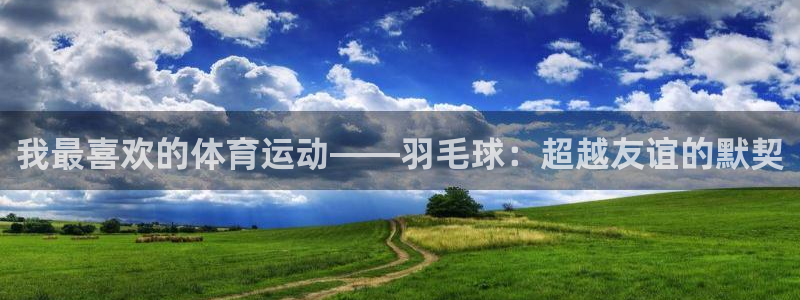 必发官方正版app集团官网首页：我最喜欢的体育运动——羽毛球