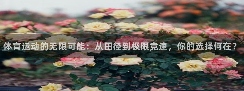 必发官方正版app神州