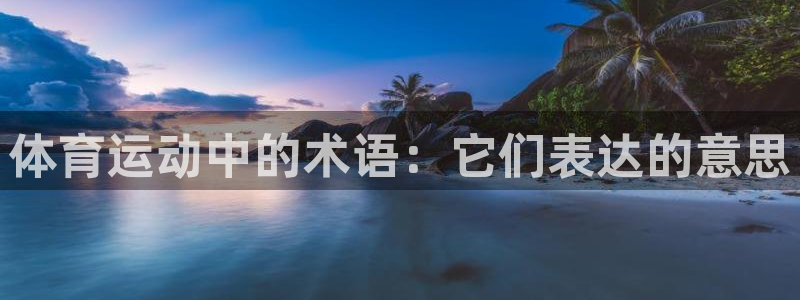 必发官方正版app集团官网网址：体育运动中的术语：它