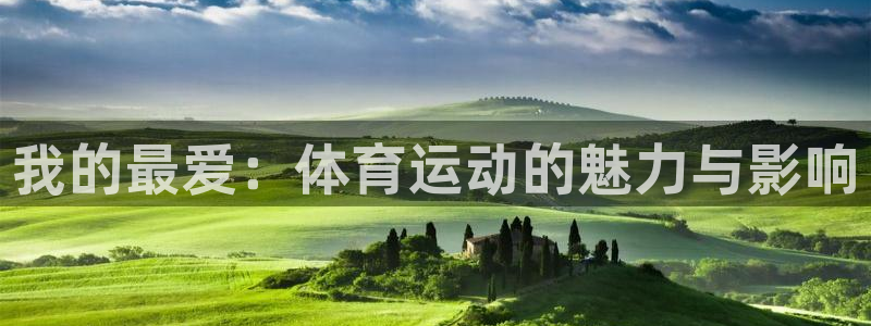必发官方正版app集团简介：我的最爱：体育运动的魅力与影响