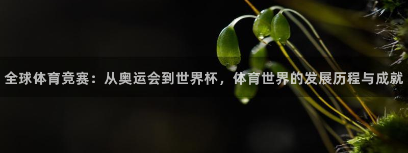 必发官网下载招商电话：全球体育竞赛：从奥运会到世界杯，体育世
