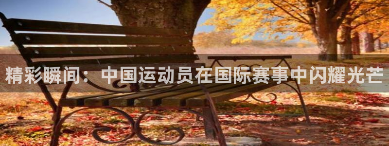 必发官方正版app娱乐：精彩瞬间：中国运动员在国际赛事中闪耀