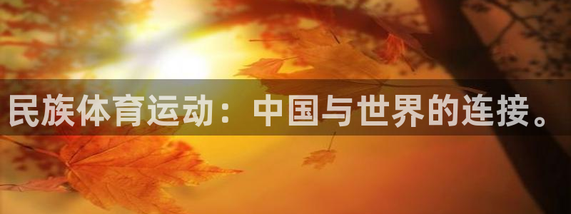 必发官网下载平台注册要钱吗安全吗：民族体育运动：中国与世界的