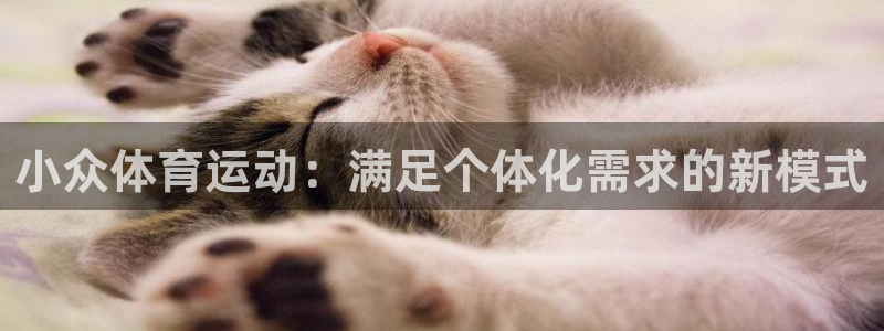 必发官网下载招商电话地址：小众体育运动：满足个体化需求的新模