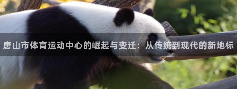 必发官方正版app集团E.ON：唐山市体育运动中心的