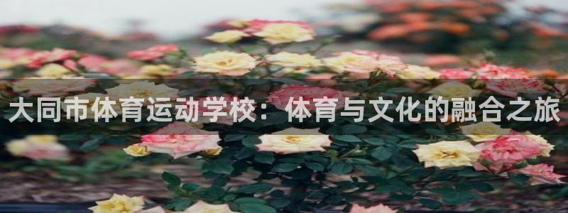 必发官网下载平台APP：大同市体育运动学校：体育与文