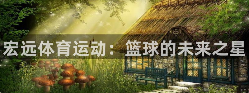 必发官方正版app集团E.ON：宏远体育运动：篮球的