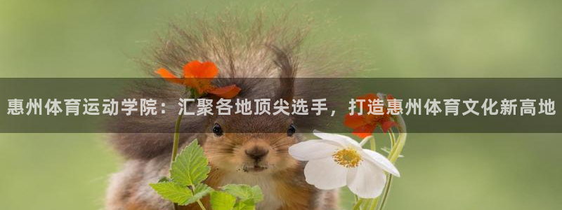 必发官网下载平台APP：惠州体育运动学院：汇聚各地顶