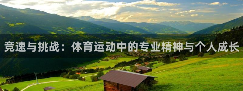 海南必发官网下载：竞速与挑战：体育运动中的专业精神与