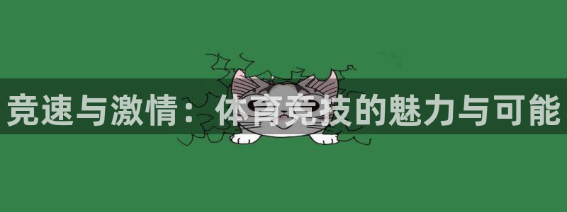 必发官网下载平台是正规平台吗知乎：竞速与激情：体育竞