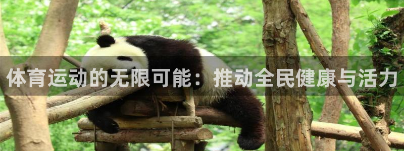 必发官方正版app娱乐首页官网下载：体育运动的无限可