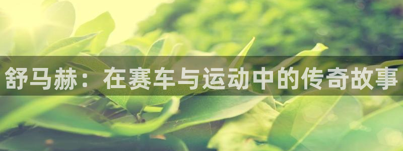 必发官方正版app集团E.ON