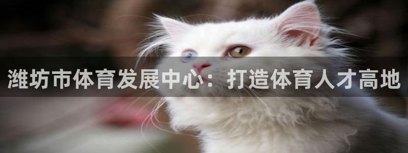 注册必发官方正版app