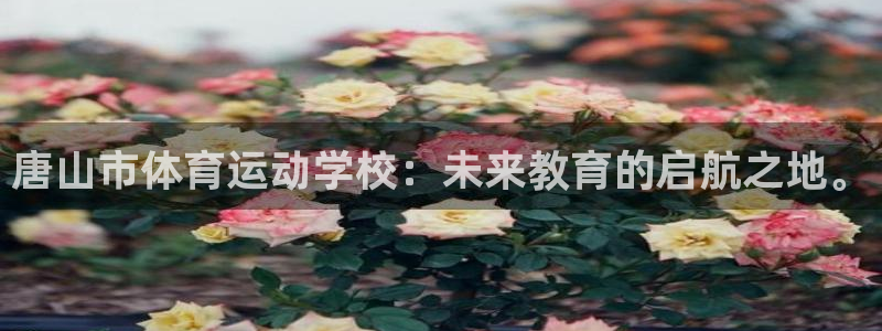 必发官网下载平台：唐山市体育运动学校：未来教育的启航之地。