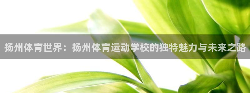 必发官网下载平台注册流程图：扬州体育世界：扬州体育运动学校的