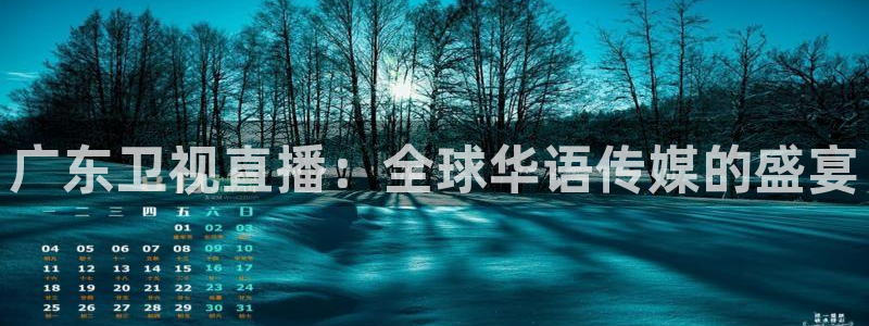 美女直播nba直播蜘蛛侠：广东卫视直播：全球华语传媒的盛宴