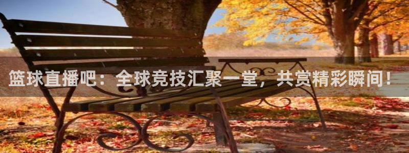 蜘蛛直播体育nba直播在线：篮球直播吧：全球竞技汇聚一堂，共赏精彩瞬间！
