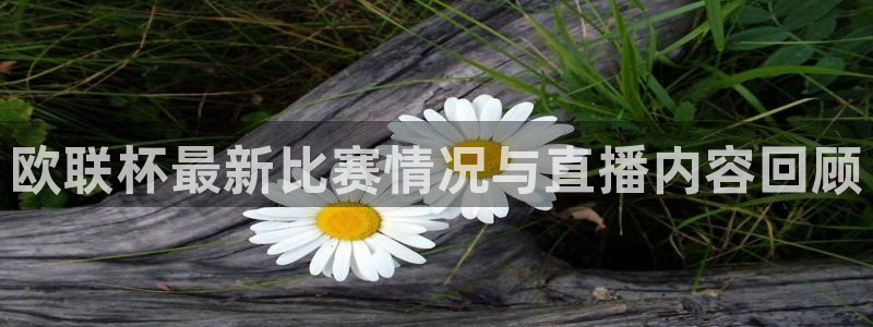 蜘蛛体育nba：欧联杯最新比赛情况与直播内容回顾