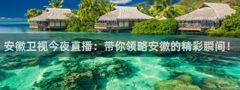 蜘蛛直播体育足球：安徽卫视今夜直播：带你领略安徽的精彩瞬间！