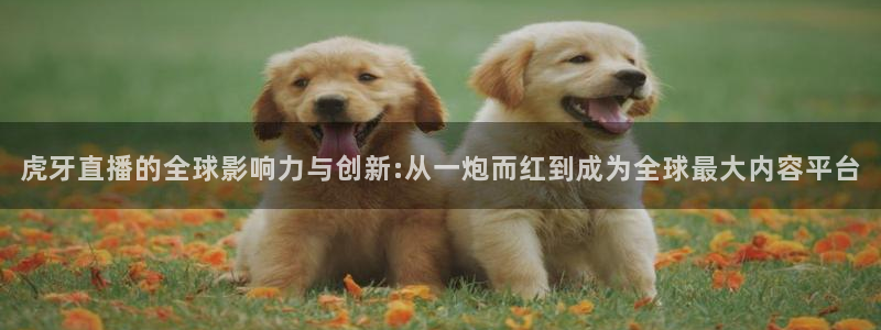 nba蜘蛛免费直播：虎牙直播的全球影响力与创新:从一炮而红到成为全球最大内容平台
