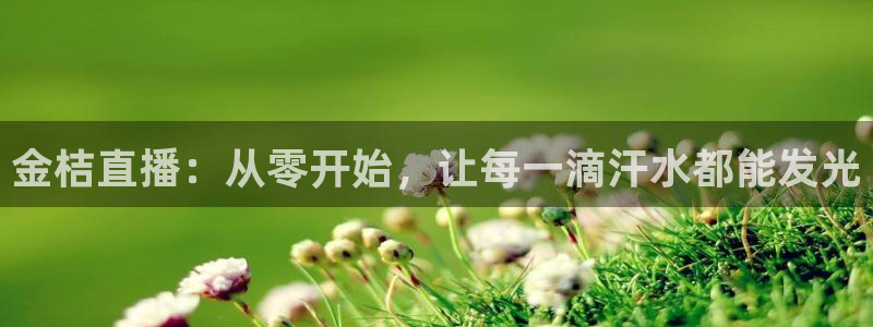 蜘蛛体育可可：金桔直播：从零开始，让每一滴汗水都能发光