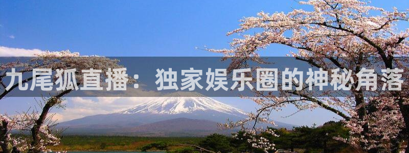 蜘蛛直播体育app：九尾狐直播：独家娱乐圈的神秘角落