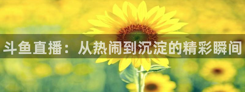 蜘蛛直播nba免费：斗鱼直播：从热闹到沉淀的精彩瞬间