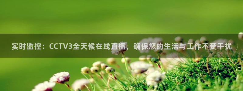 蜘蛛体育直播app下载官网：实时监控：CCTV3全天候在线直播，确保您的生活与工作不受干扰
