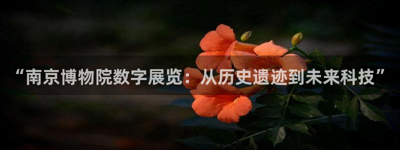 nba蜘蛛：“南京博物院数字展览：从历史遗迹到未来科技”